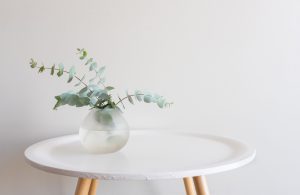 Trade marks, design rights and territories: skincare brand prepped and ready for export