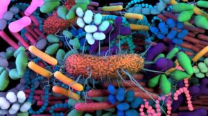 Is the EPO pro-biotic? Protecting microbiome-friendly inventions