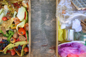Waste to want: Innovative solutions to food waste