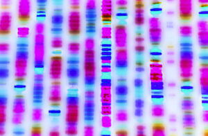 Biological sequencing: how inaccurate sequences can lead to a sequence of unfortunate events